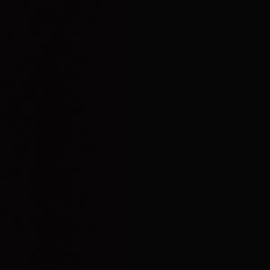 Meet your Posher, Rajkumarie